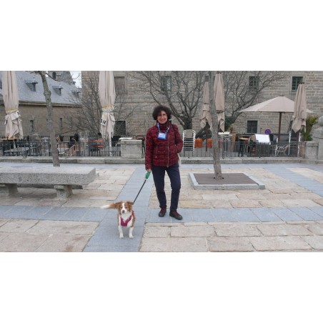 Visita "dog friendly" a El Escorial
