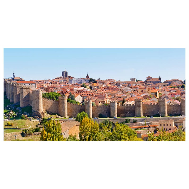 Visita guiada a Ávila